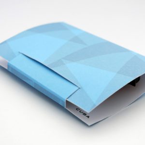 The folded up gift box for my Cuba Dove brooch.