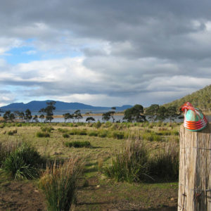 Telephone-wire basket on a fence post, with Cockle Bay Lagoon and Maria Island in the background.