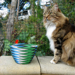 My beautiful white-chested tortoiseshell pusscat, sitting regally on a wall in our garden with Jane's Fab 40 green, black and white telephone-wire basket.