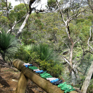 Coils of telephone wire on a narrow bench, with Billy Goat Falls in the background.
