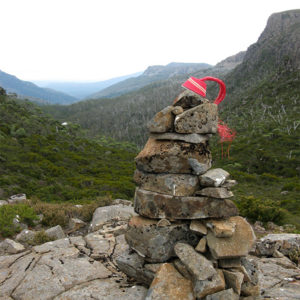 Telephone-wire basket in progress, resting on top of a big cairn looking out over the treetops of the Little Fisher valley, Tasmania.