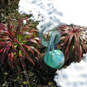Telephone wire basket in its early stages, nestled between two pandani bushes in the snow, near Mt Rufus, Tasmania.