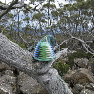 Telephone wire basket in progress, on a dead log in the bush near Smiths Monument, on top of Mt Wellington, Tasmania.