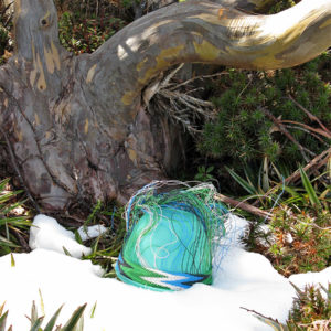 The early stages of a telephone-wire basket in progress, in front of a Snowgum and surrounded by snow and pineapple grass, on the slopes of Mt Rufus, Tasmania.