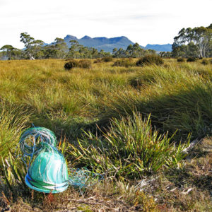 Telephone wire basket in its early stages, in buttongrass, with the King William Ranges in the distance.